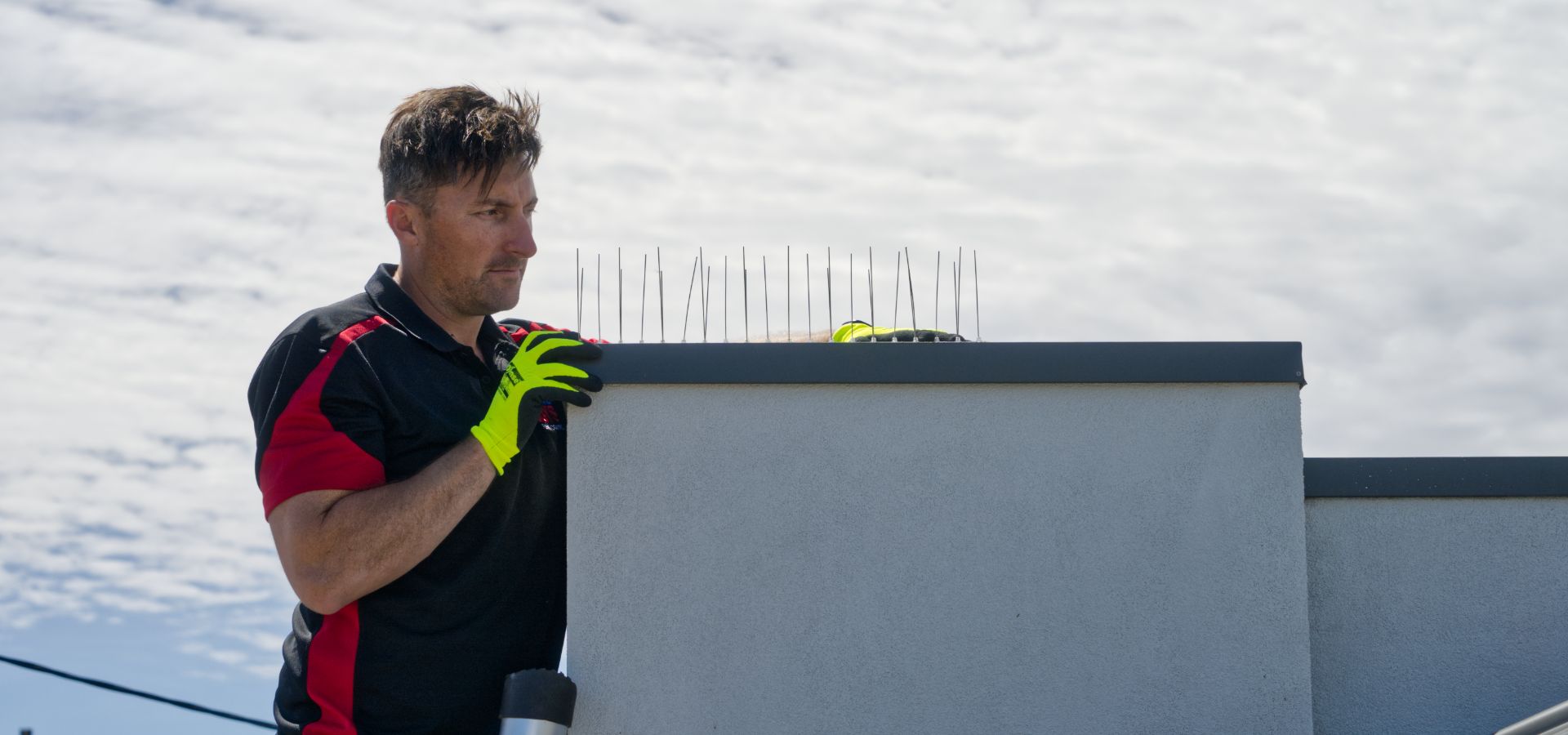 pest control seo-009