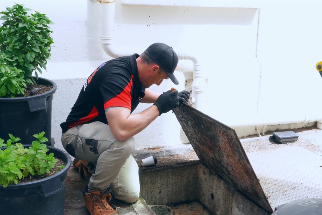 pest control seo-010