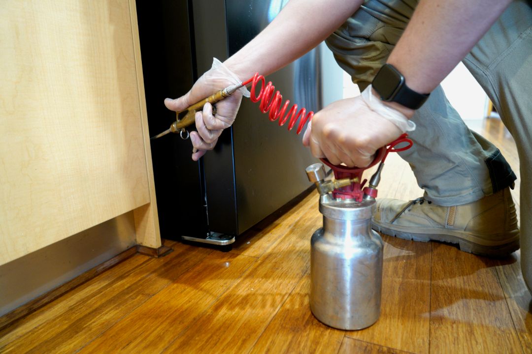 pest control seo-011